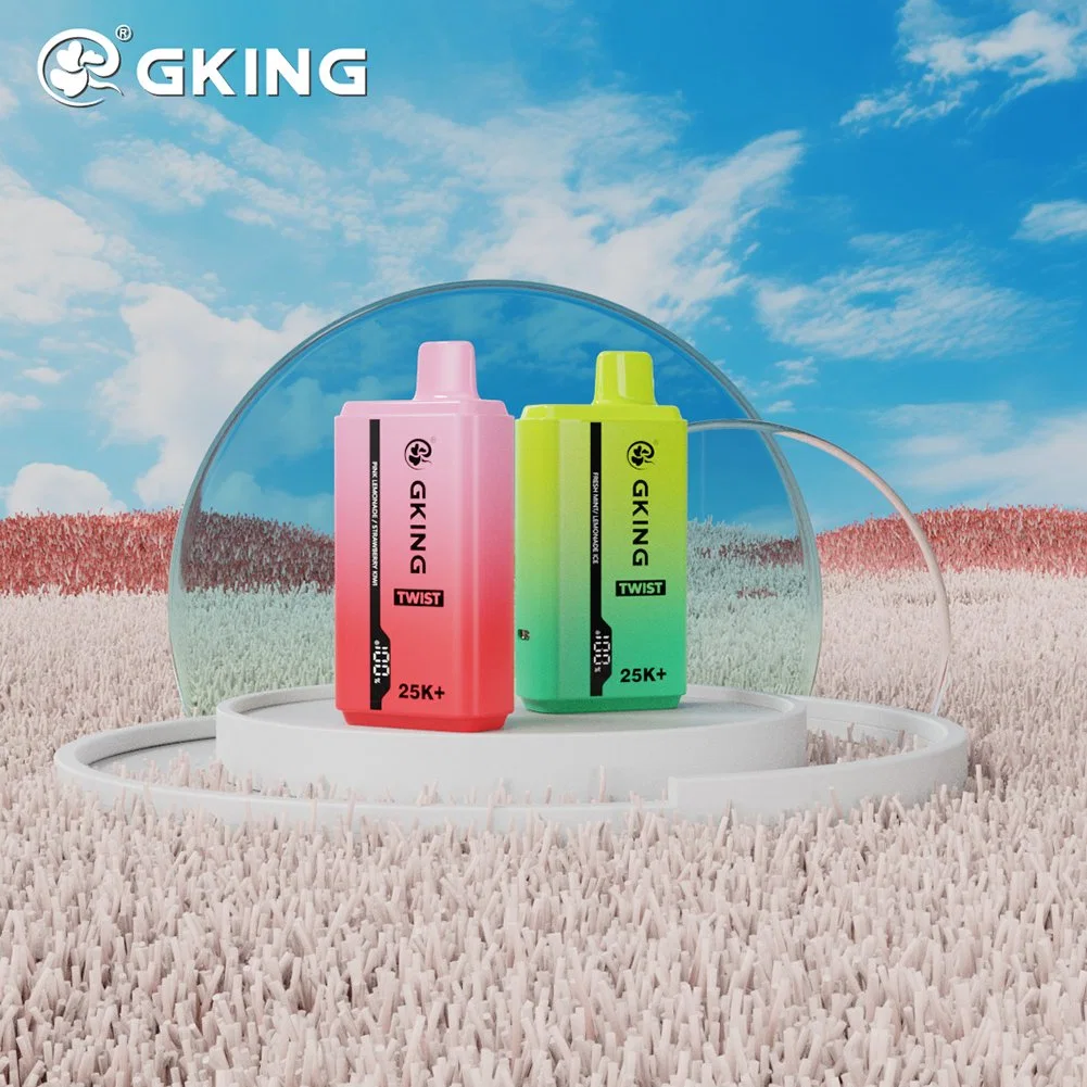 Gking Factory 2 in 1 Dual Flavors Disposable Vape 25000 Puffs LED Vape Pen Rechargeable Electronic Cigarette Wholesale Cheap Vape Pen 28ml Pods Vape Kit