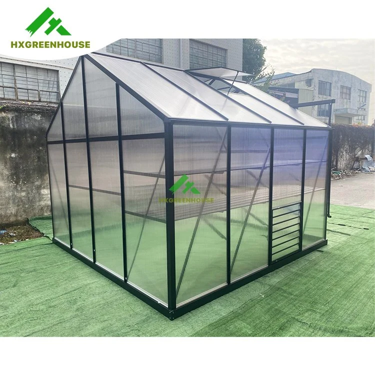 High Tunnel Greenhouse Steel Frame Hydroponic for Chickens