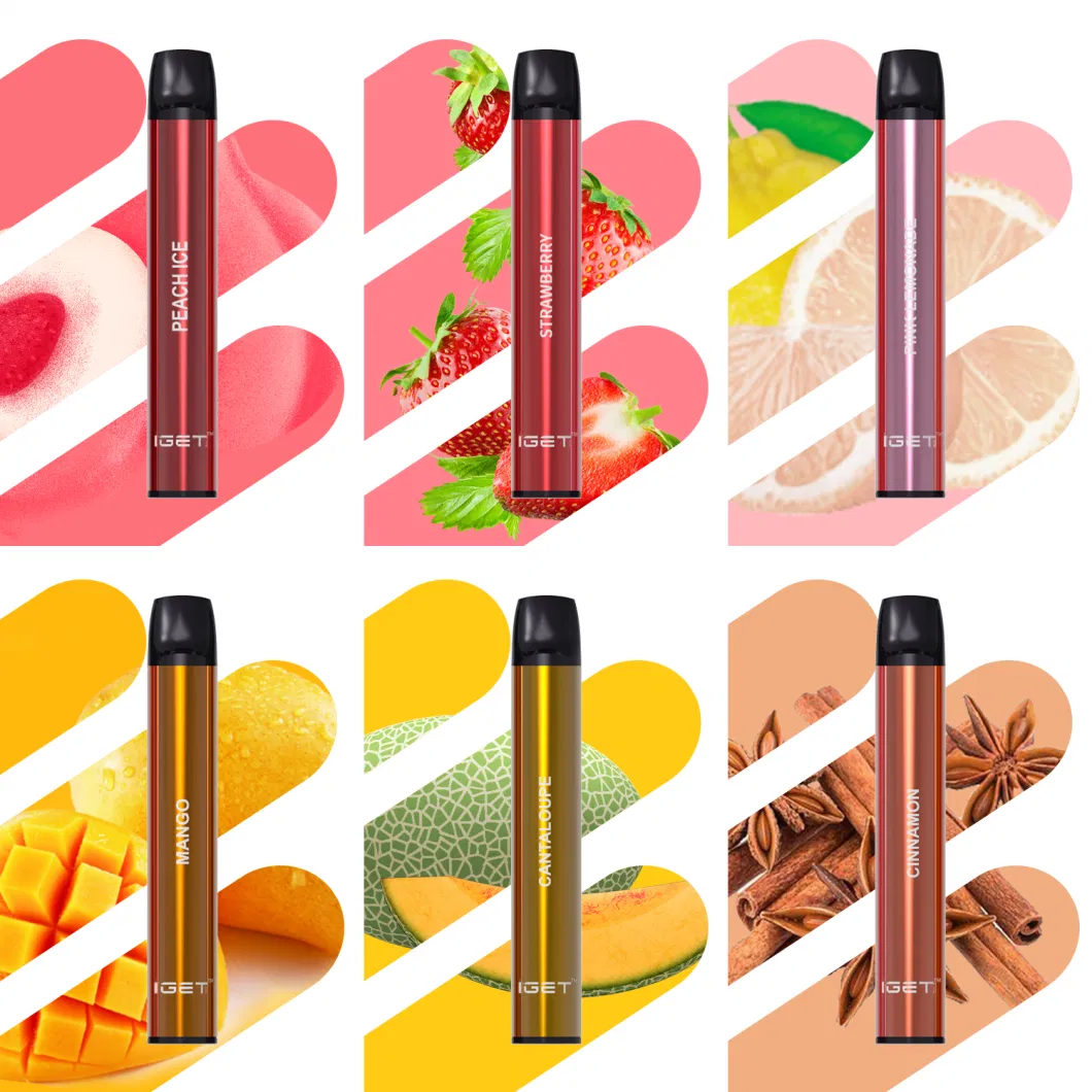 Factory Wholesale 600puffs Disposable Ecig Iget Shion Vape Pen Kit