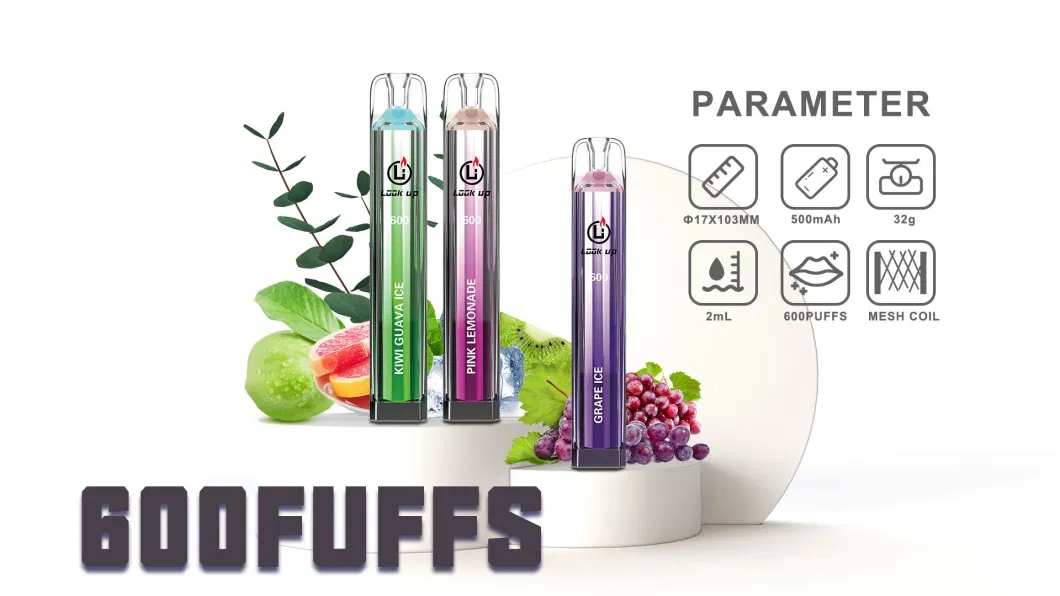 Custom Branded Vaping Products 600c Puffs Rechargeable Disposable Vape Electronic Cigarette