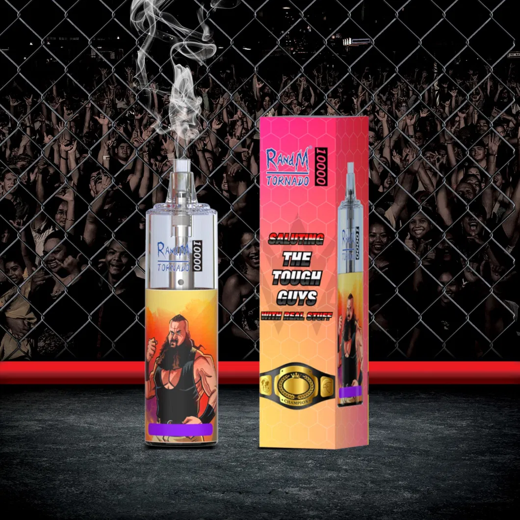 China Factory Randm Wholesale Vaper Vapsolo Tornado 10000 Puffs 10K Puff New Disposable Vape Refillable 20ml Juice OEM with Battery Power Indicat Vape Pen