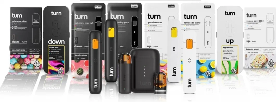 USA Market Turn Me Disposable Vape 1ml Ceramic Vaporizer Empty Pod System Thick Oil Rechargeable Disposable Vape 10 Flavors with Package