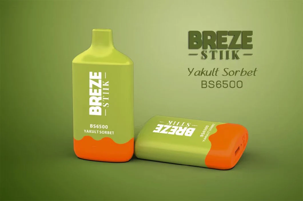 2023 New Popular Breze Stiik BS 6500 Puffs Bar 2%/5% Nicotine Disposable Vape Rechargeable Lost E-Cigarette Mary Vape in Stock