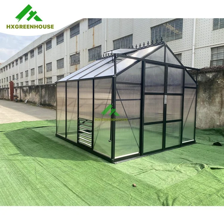 High Tunnel Greenhouse Steel Frame Hydroponic for Chickens