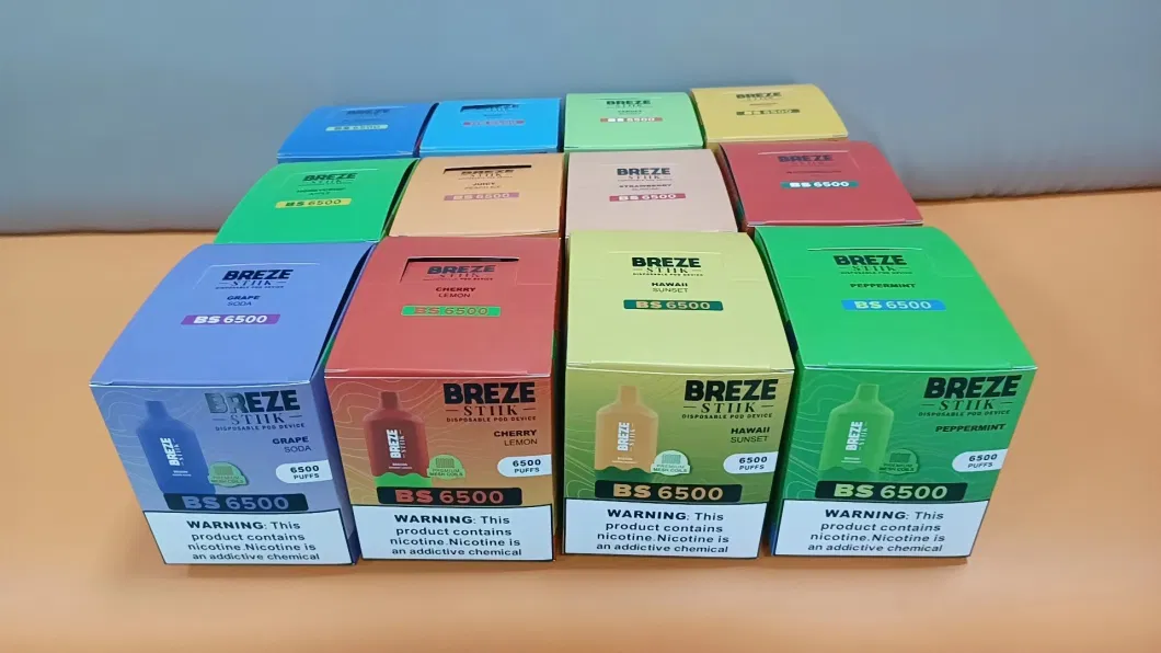 2023 New Popular Breze Stiik BS 6500 Puffs Bar 2%/5% Nicotine Disposable Vape Rechargeable Lost E-Cigarette Mary Vape in Stock