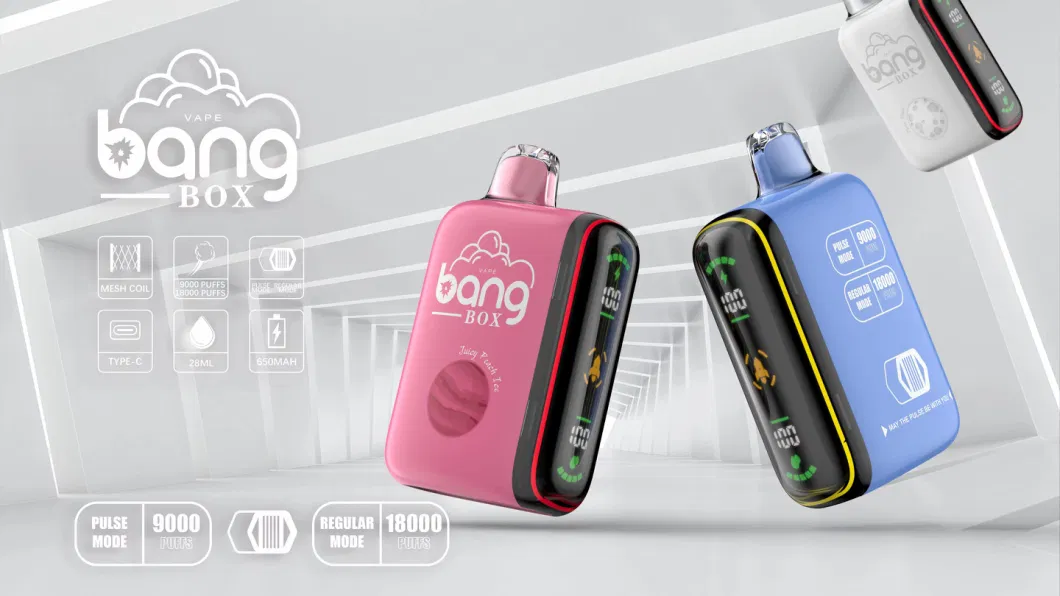 Bang Box Best 28ml Wholesale I Vape 18000 Puffs 25000 Puffs Dual Mesh Coil LED Screen Disposable Vapes Vape