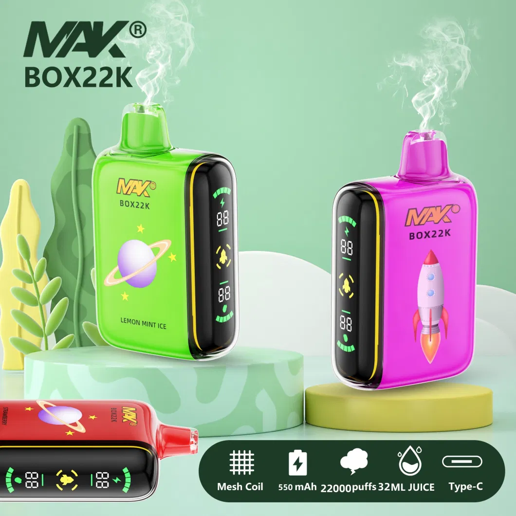 Wholesale Disposable Vape Double Cigarette Flavor Mak Box 22K Puff Square Box with Display Device Steam Disposable Vape Pens