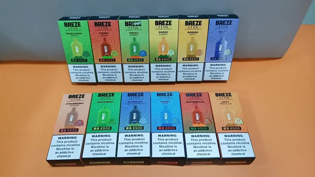 2023 New Popular Breze Stiik BS 6500 Puffs Bar 2%/5% Nicotine Disposable Vape Rechargeable Lost E-Cigarette Mary Vape in Stock