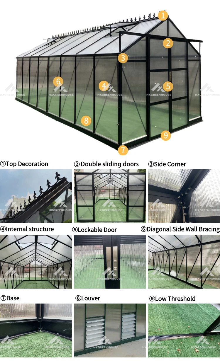 High Tunnel Greenhouse Steel Frame Hydroponic for Chickens