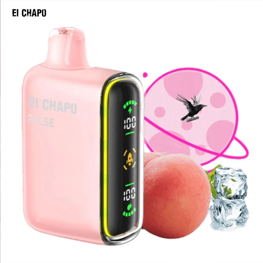 Best Factory Wholesale Cheap 15000 Puffs Disposable Vape Electronic Cigarette