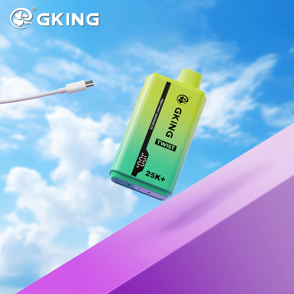 Gking Factory 2 in 1 Dual Flavors Disposable Vape 25000 Puffs LED Vape Pen Rechargeable Electronic Cigarette Wholesale Cheap Vape Pen 28ml Pods Vape Kit