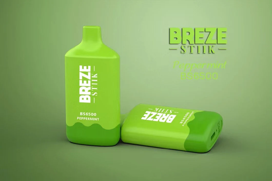 2023 New Popular Breze Stiik BS 6500 Puffs Bar 2%/5% Nicotine Disposable Vape Rechargeable Lost E-Cigarette Mary Vape in Stock