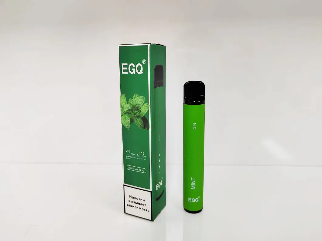 600 Puffs Disposable E-Cigarette with Custom Options