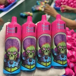 Shenzhen Factory Waka 10000puffs Disposable Wholesale I Vape