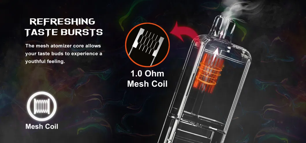 Popular E-Cigarettes Micko BS Vaping Atomizer 10000puffs Vape New Product Cigarette Liquid Smoke