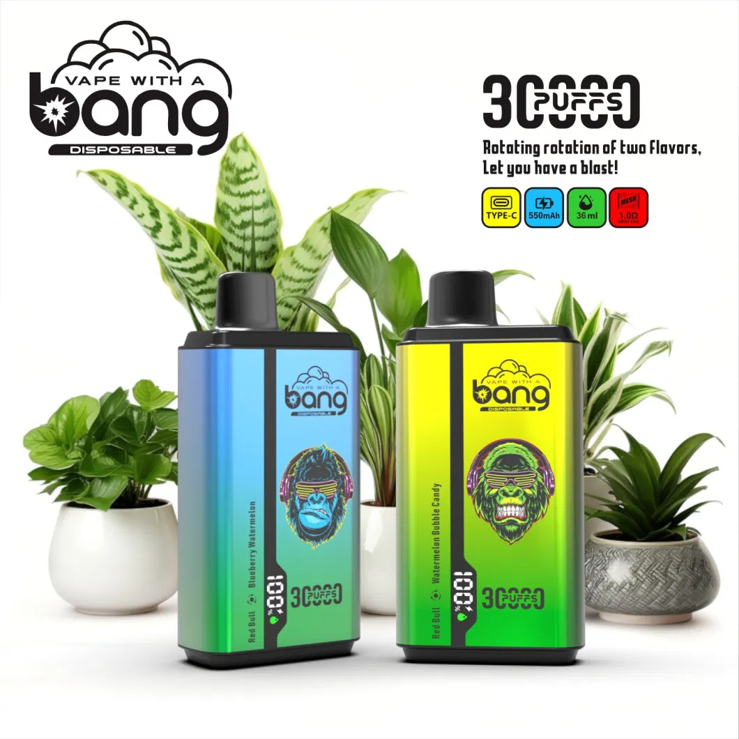 Spain Italy Germany Fast Shipping Waspe Puff 20000 Puffs Digital Bang Box 25ml Puff 25K 20K 15K Randm Disposable E Cigarette Wholesale I Vape