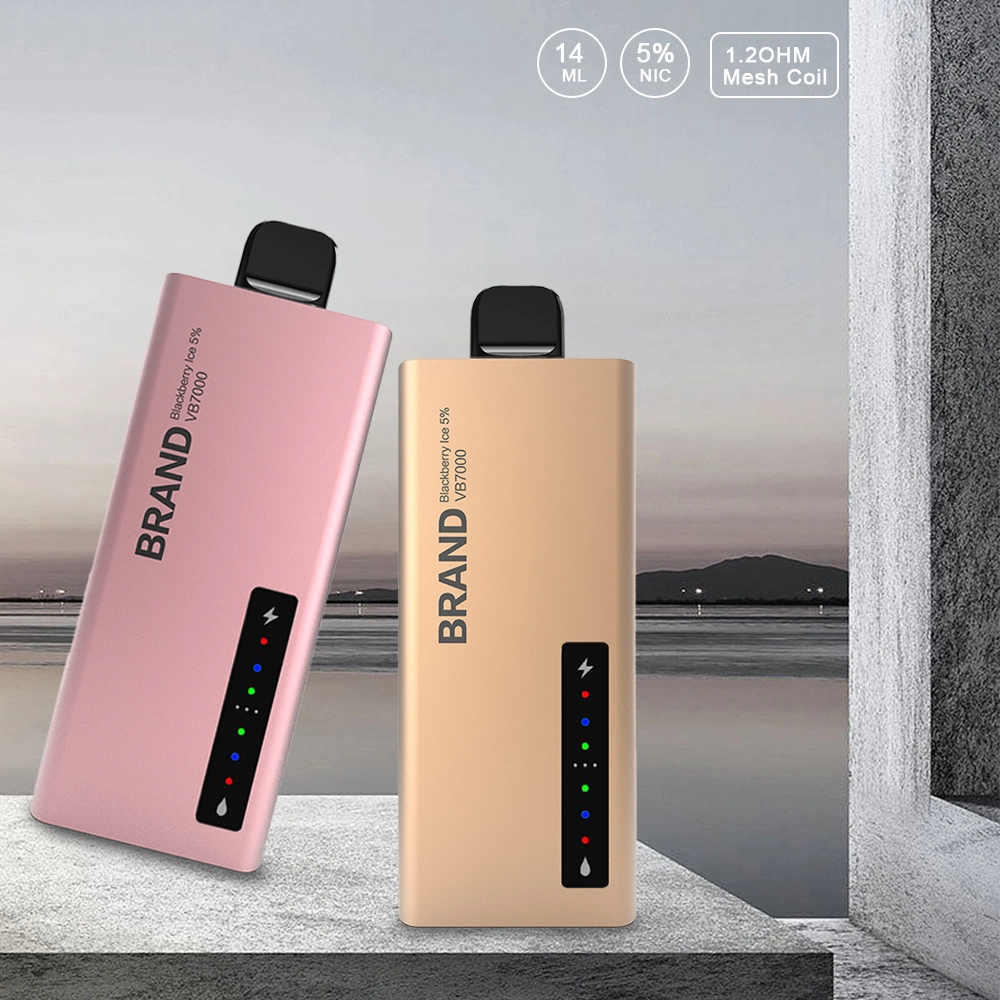 Hot in Europe 7000 Puff No Nicotine Disposable Vape with Custom Logo and Packaging