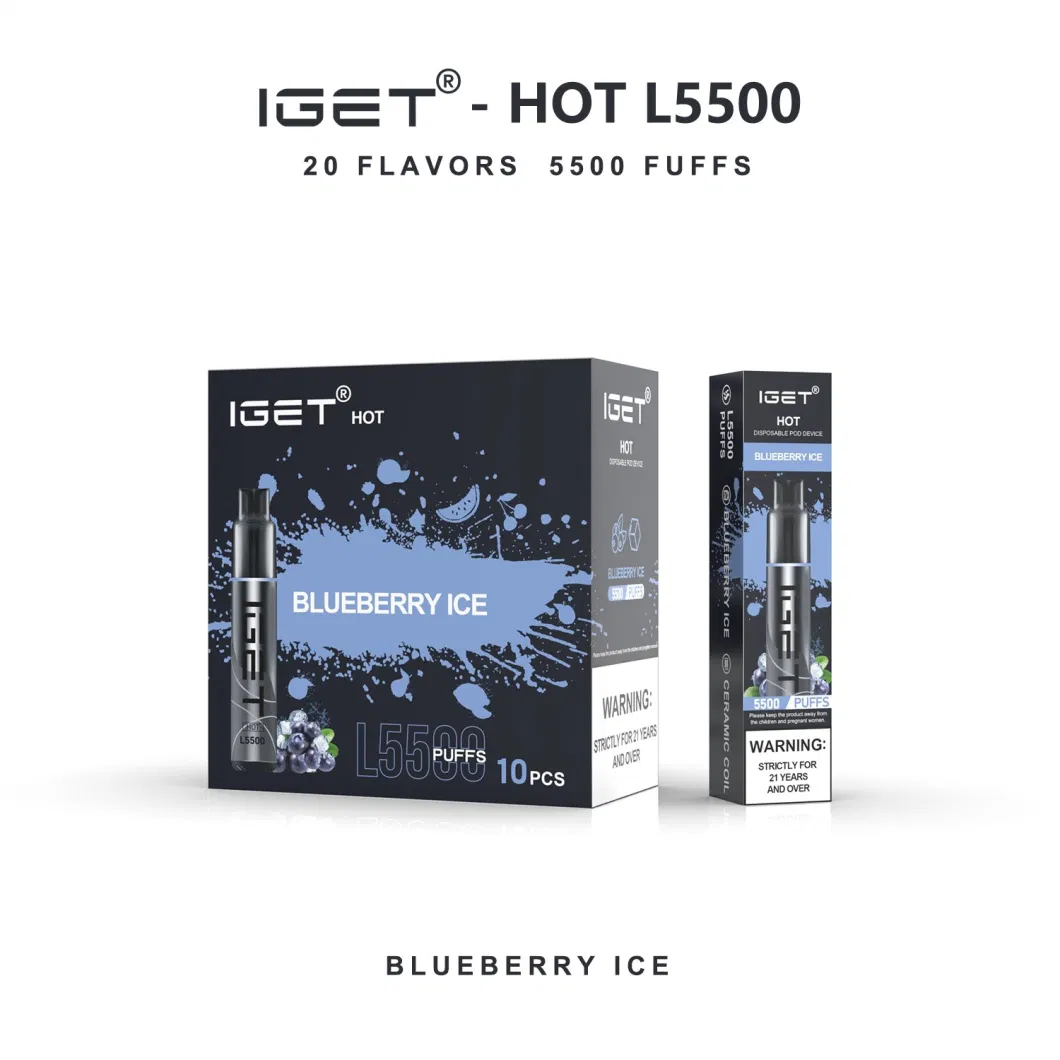 Wholesale Original Iget Me 5000 Puff Bar Mesh Coil Disposable Electronic Wholesale Disposable Vape Pen