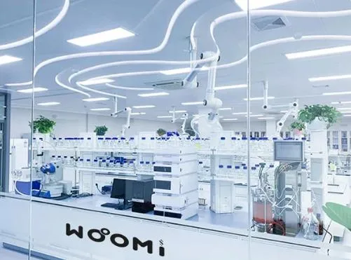 Woomi Elf Wholesale I Vape Disposable E Cigarette Elf 600 1500 5000 8000 Puff 2 5% Vape Bars Ultra