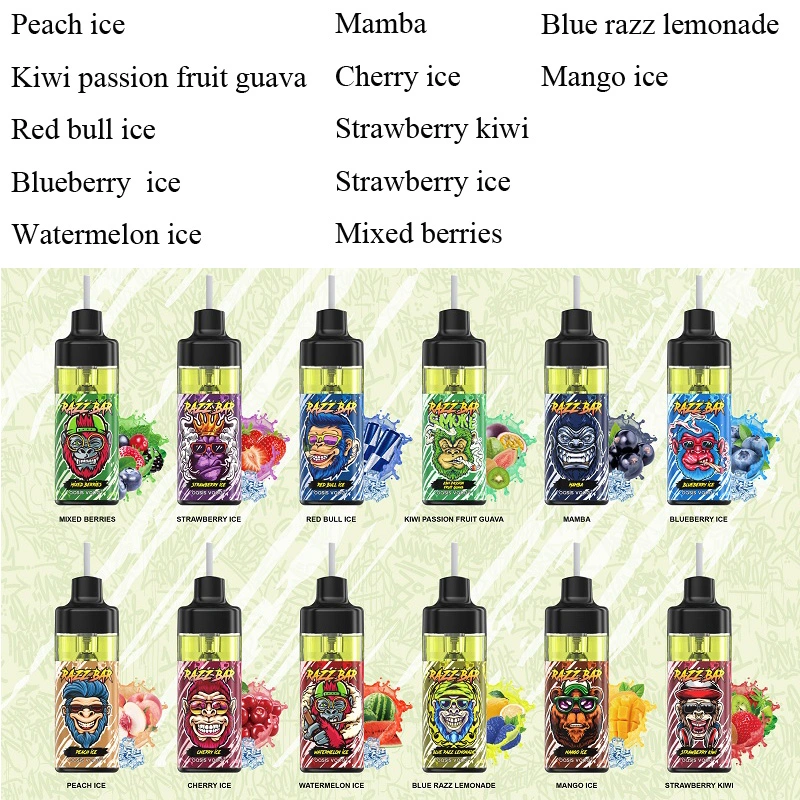 EU Warehouse Razz Disposable Vape Affordable Electric Cigarette Shisha Flavour Hookah Budapest Exquisite Flavours Nicotine Pouch 12000 Puff Pod Disposable Vape