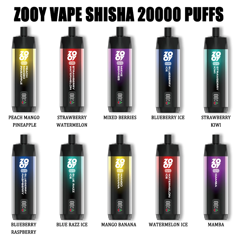 Wholesale Electronic Cigarette 20000 Puff 20K E-CIGS Vaporizer Atomizer Wape Zooy Shisha Flavour Hookah Dual Mesh Coil Disposable Vape