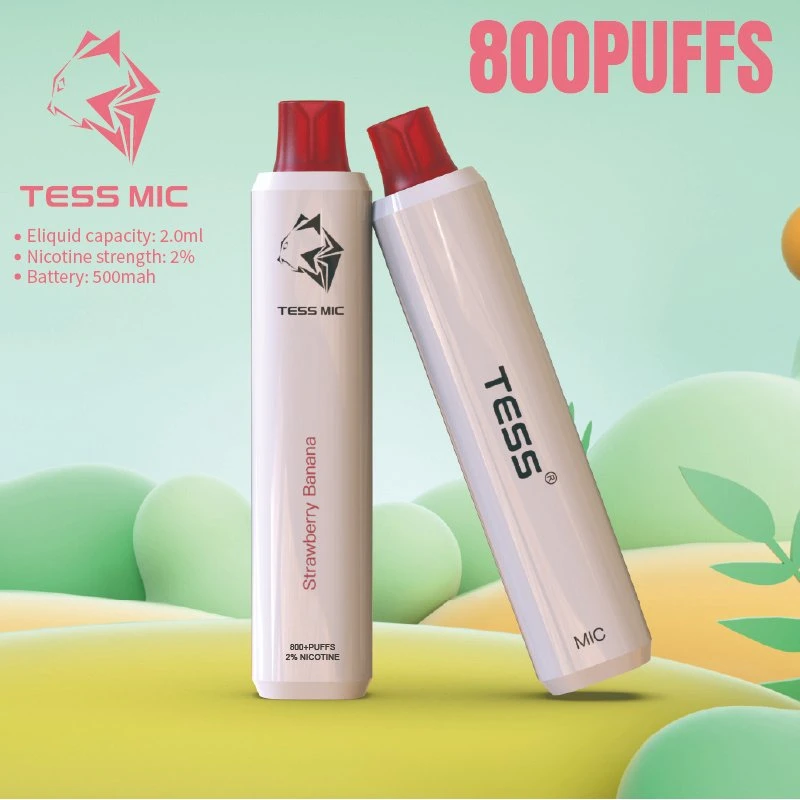 800 Puffs 500mAh Battery Rechargeable Electronic Cigarette Wholesale Disposable Vape Pen Hot Sale in USA UK