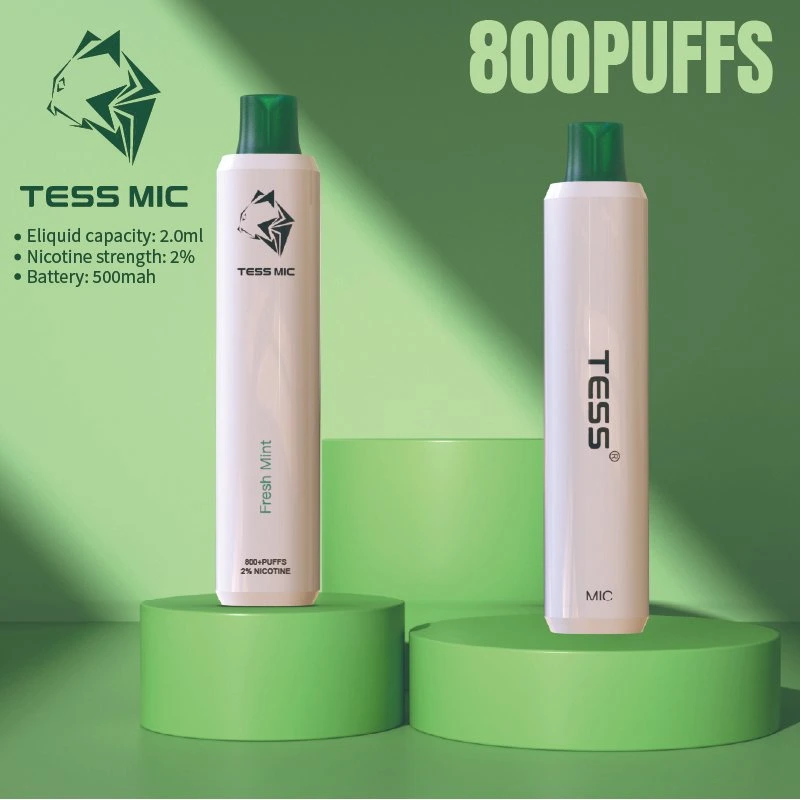 800 Puffs 500mAh Battery Rechargeable Electronic Cigarette Wholesale Disposable Vape Pen Hot Sale in USA UK