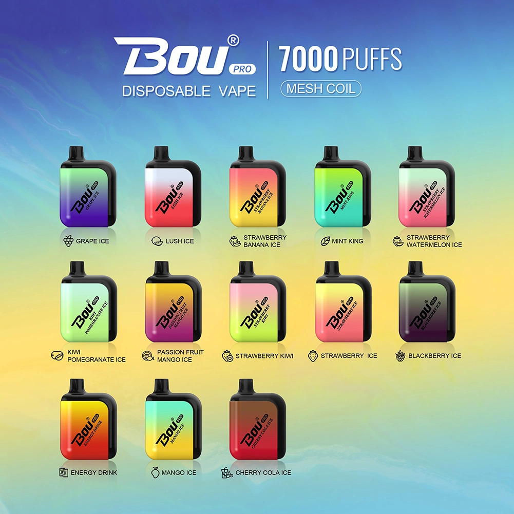 Bou 13 Flavors Disposable Vape Box 7000 Puffs Disposable Electronic Cigarette