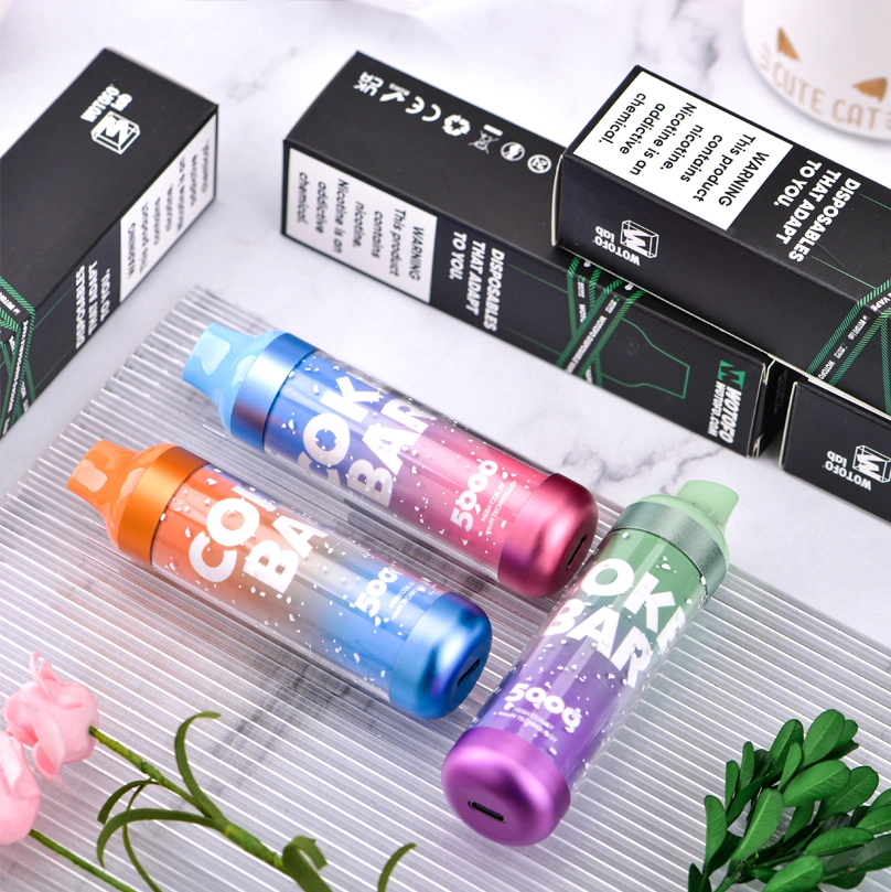 2022 Best Popular UK Disposable E-Cigarette 5000 Puffs Elf 13ml Flash LED Light Randm 7000 Disposable Vape Pen