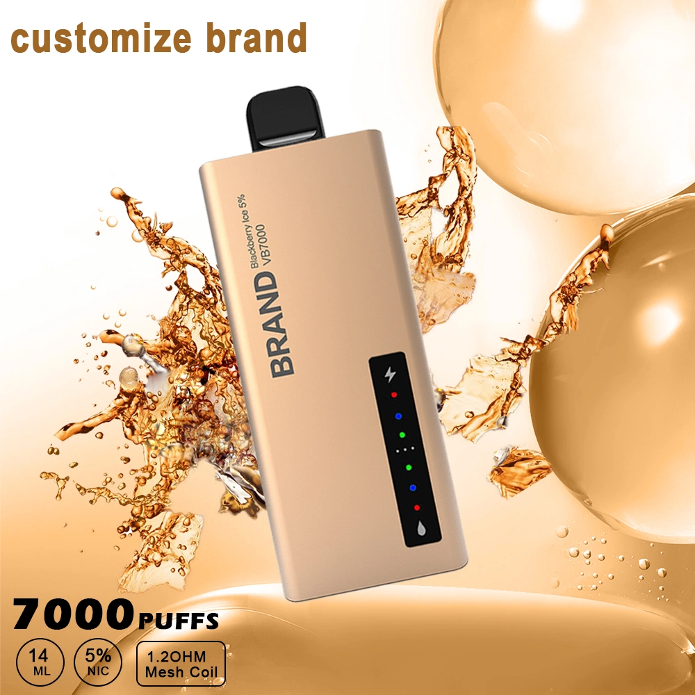 Hot in Europe 7000 Puff No Nicotine Disposable Vape with Custom Logo and Packaging