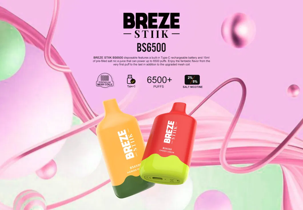 Original Breze Stiik BS6500 6500 Puffs Disposable Vape E Cigarette with Rechargeable 400mAh Battery 15ml Vs Puff 800 2800 12000 Bang 6000 12000 Tornado 7000 900