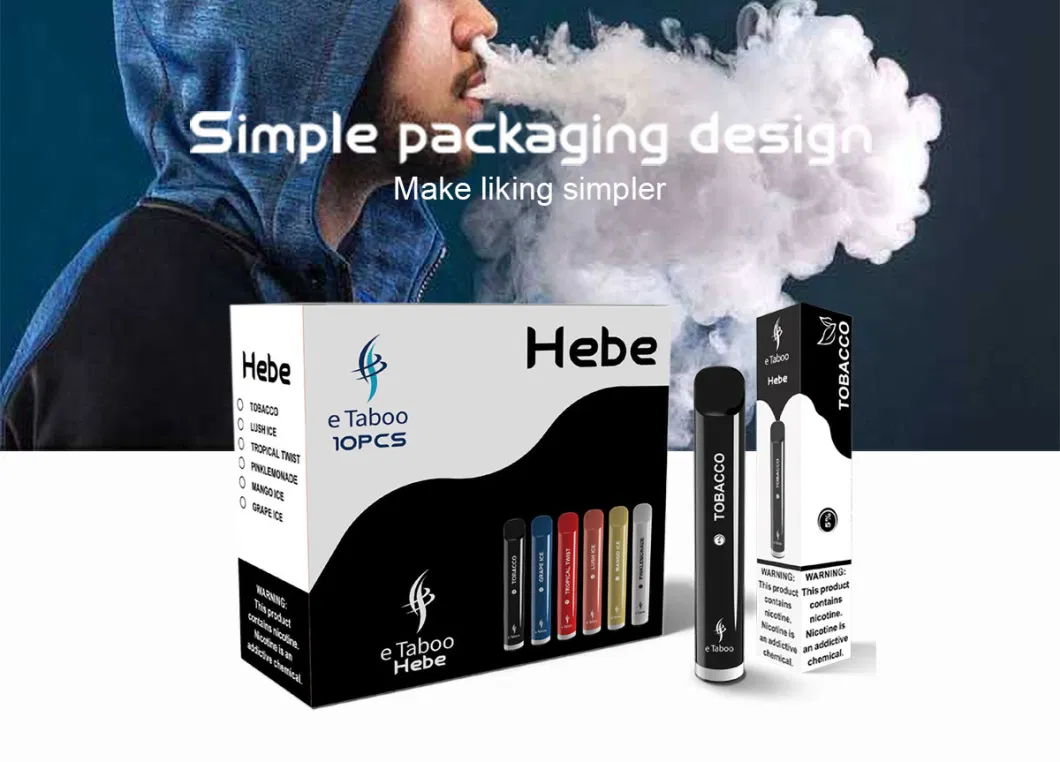 Wholesale High Quality Disposable Vape Pen Randme Electronic Cigarette Vaporizer Smoking Pipe