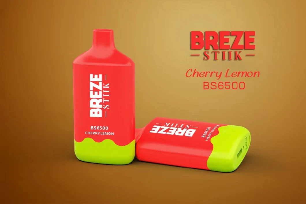 2023 New Popular Breze Stiik BS 6500 Puffs Bar 2%/5% Nicotine Disposable Vape Rechargeable Lost E-Cigarette Mary Vape in Stock