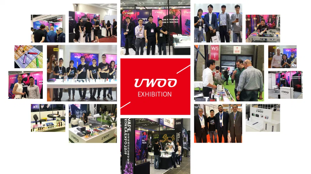 Fast Delivery Factory Price Newest Uwoo Vapeshop Near Disposable Vape 500puff