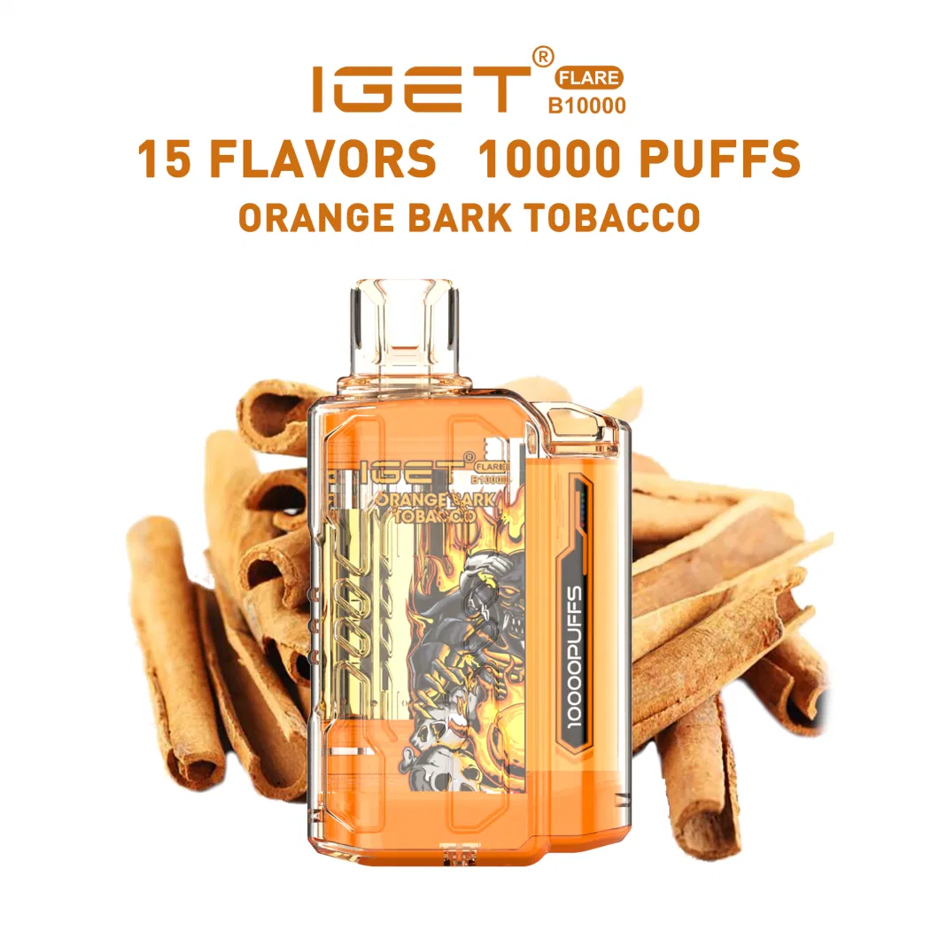 Iget Flare B 10000 Puffs Electronic Cigarette New Arrival Hot Selling