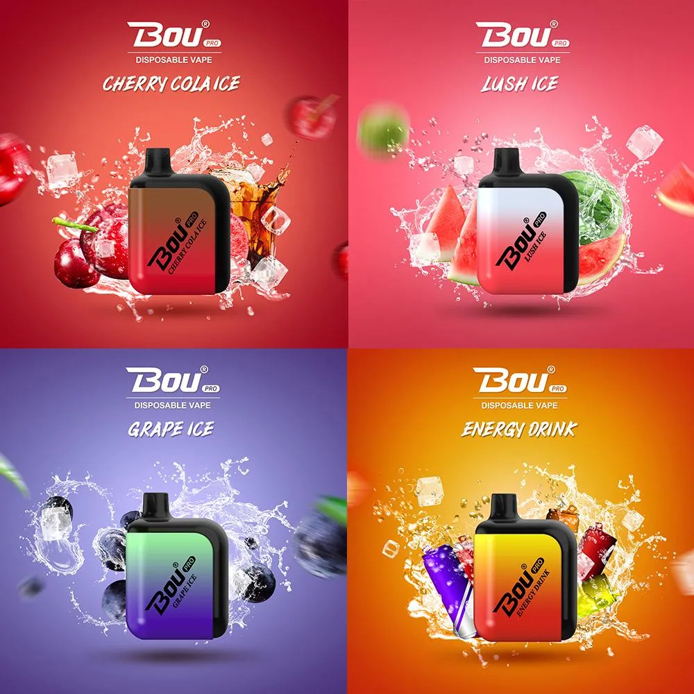 Bou 13 Flavors Disposable Vape Box 7000 Puffs Disposable Electronic Cigarette