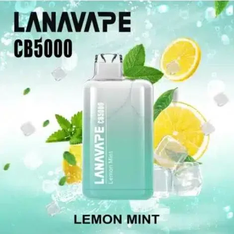 Lanavape CB5000 Puff Zbood Smoke Shop Vuse Go Game Box Refill Liquid Wape Tn9000 Smart Vapors Disposable Vape