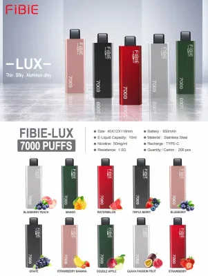 OEM disponible Fibie Bang 7000 Puff I Get Legend 4000 Bang 8000 Elf Funky TI 7000 Puffs Pen Metal desechable <a href='/cigarrillo/'>Cigarrillo</a> VAPE Tienda cerca de mí