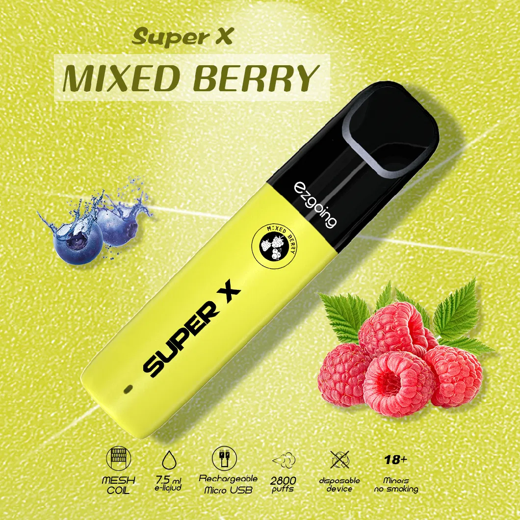 Original Wholesale Disposable Vape Pen with 2800 Puffs OEM Factory Price