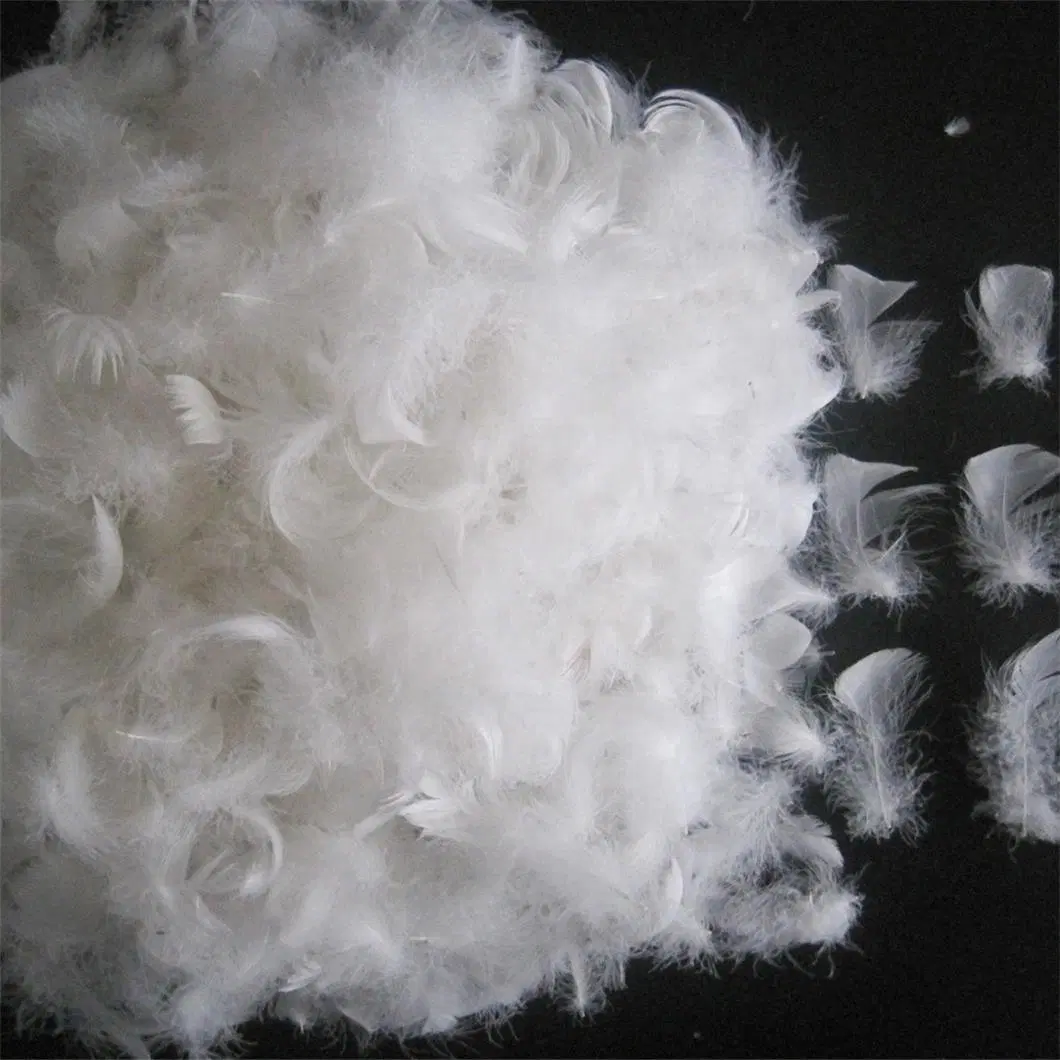 4-6cm Cheap Price Washed Goose Down Feather for Bedding Products