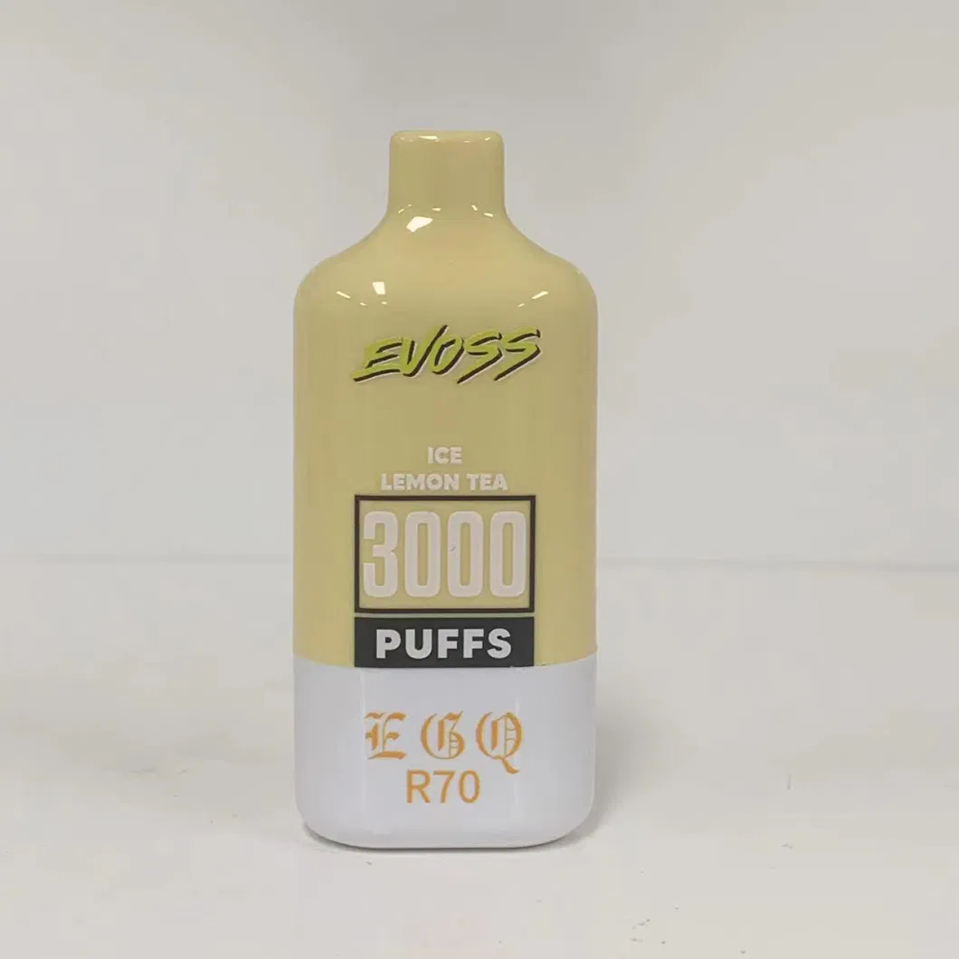 3000 Puff Wholesale Vape Pod 5 Ml Online Stores