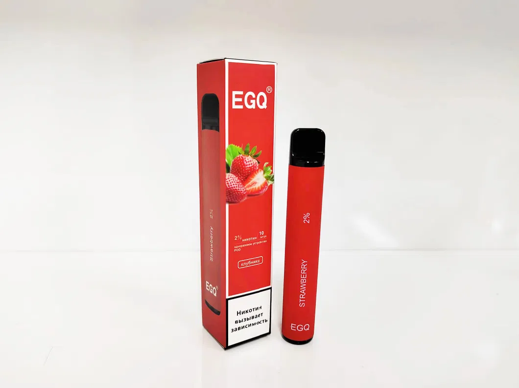 600 Puffs Disposable E-Cigarette with Custom Options