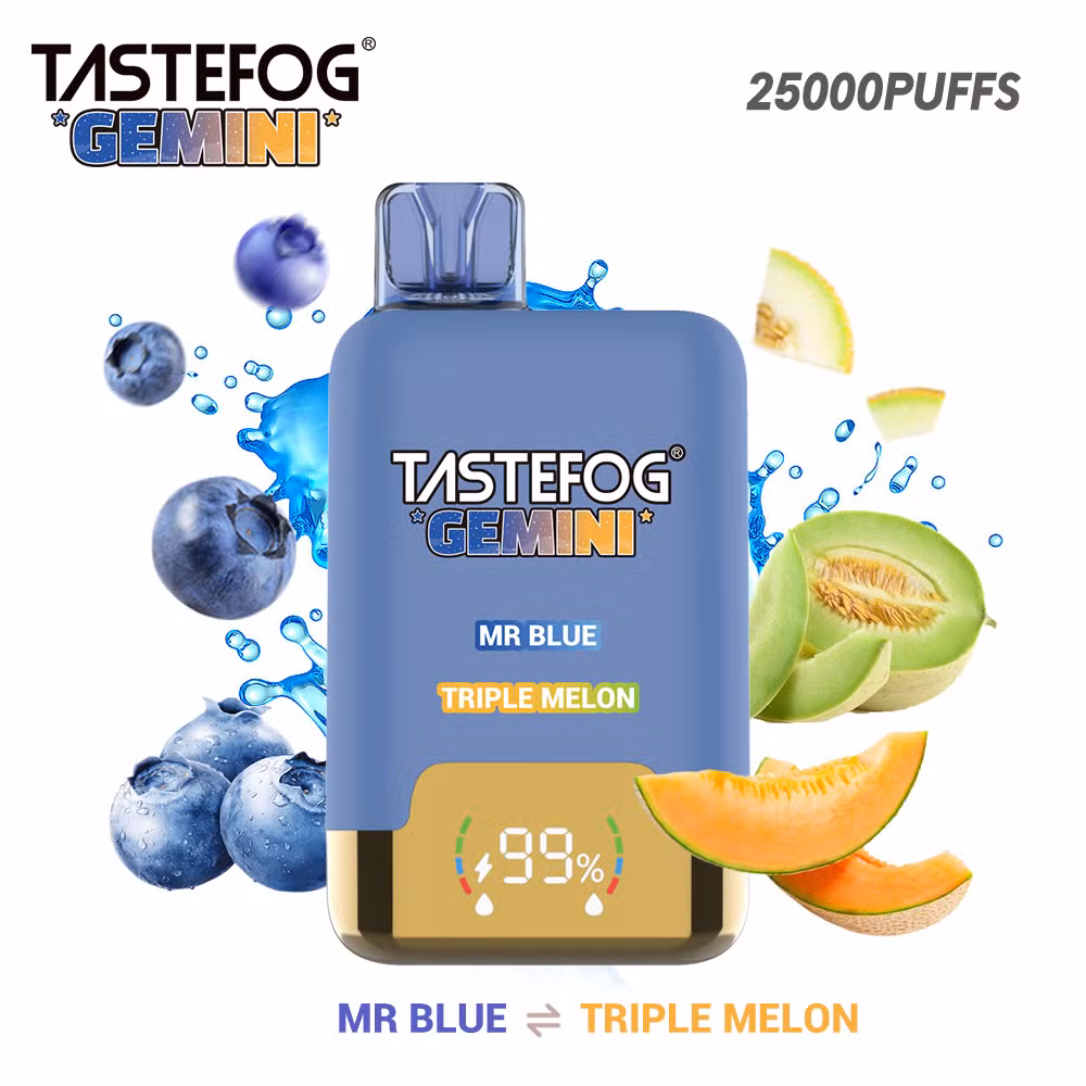 Electronic Smoke Vapers Manufacturers China Wholesale Tastefog Gemini New 25000 25K Puffs Disposable Vape Vaporizer