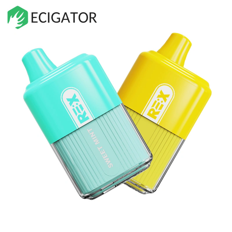 Cigarette Electronic Jetable Puff Mesh Coil Disposable Vaping 360 Aroma King Vapes 7000