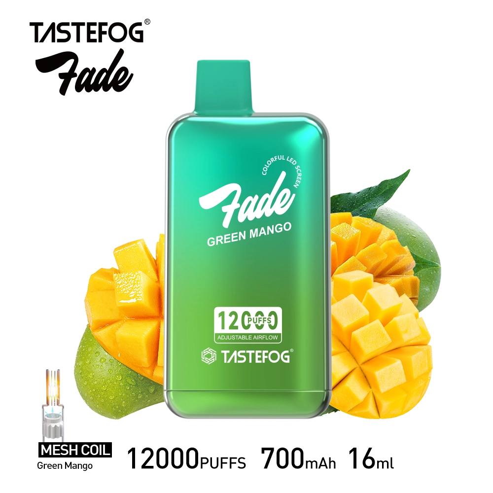 Tastefog Fade 12000 Puffs Disposable Vape Airflow Randm Vape with Screen