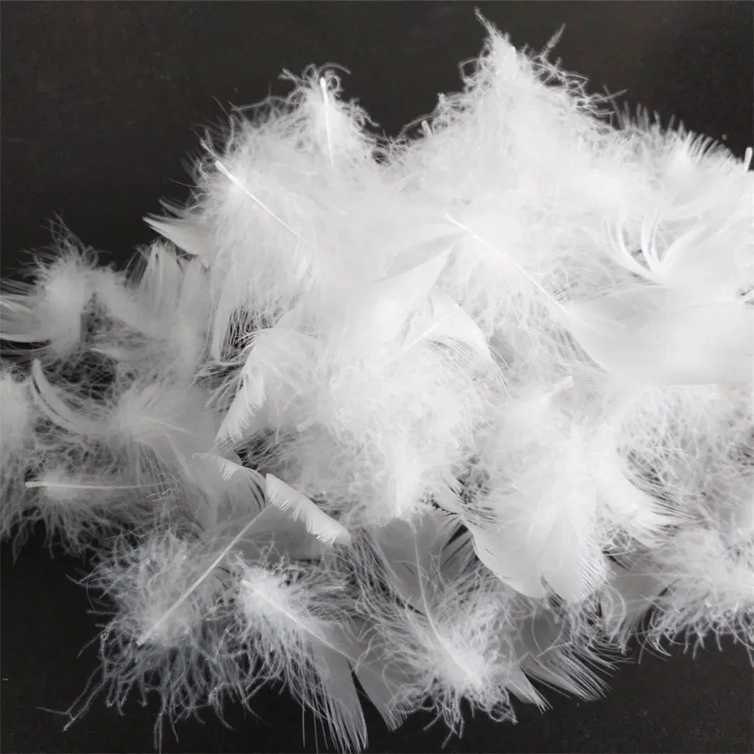 Natural 2-4 Cm Washed White Goose Down Feather for Pillow Duvet Use