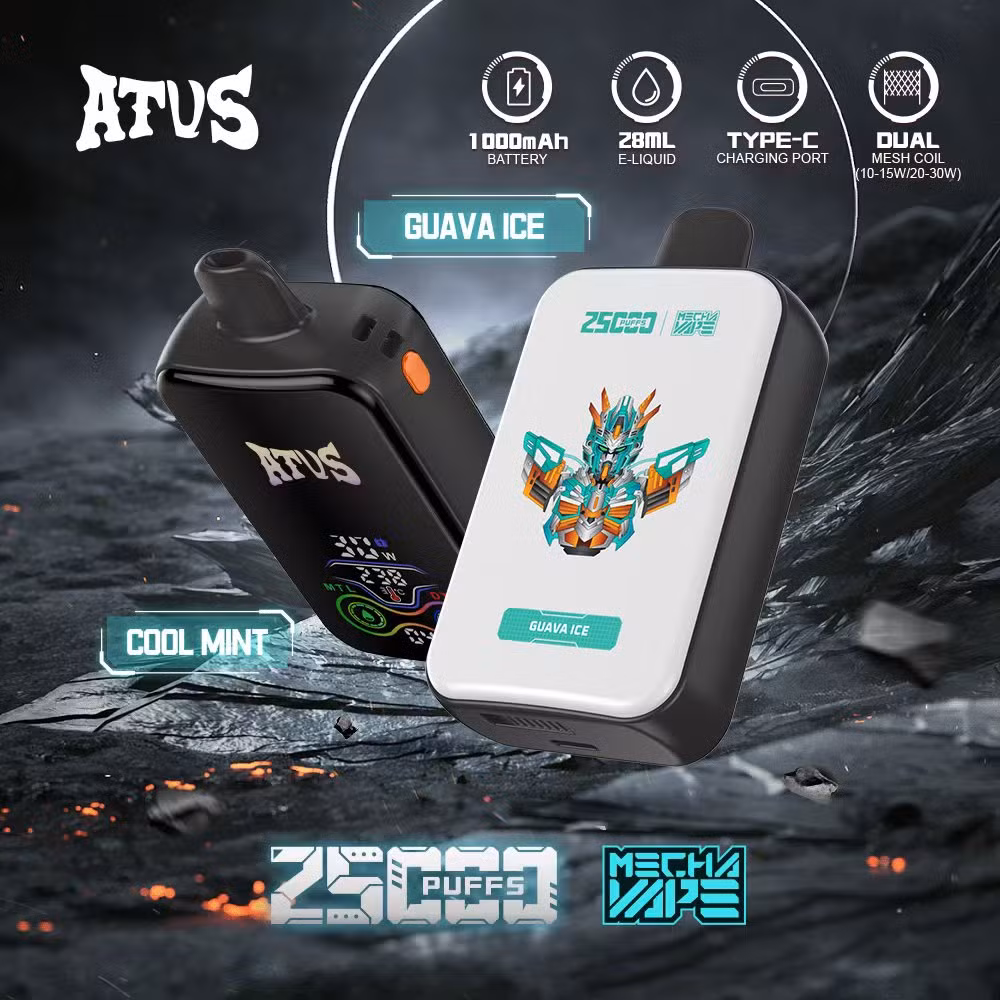 Newest Vape 25K Atvs 25000 Puffs Vaporizer Dry Herb Electronic Smoke