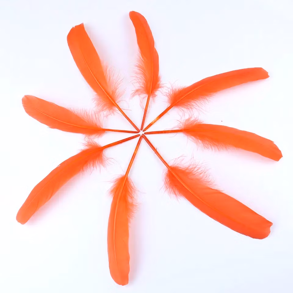 Hot Selling Wholesale DIY Colorful Feather