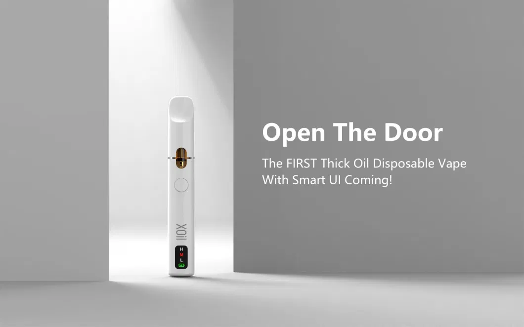 White Label High Quality Ecig Ceramic Coil Disposable Oil Vaporizer Pen