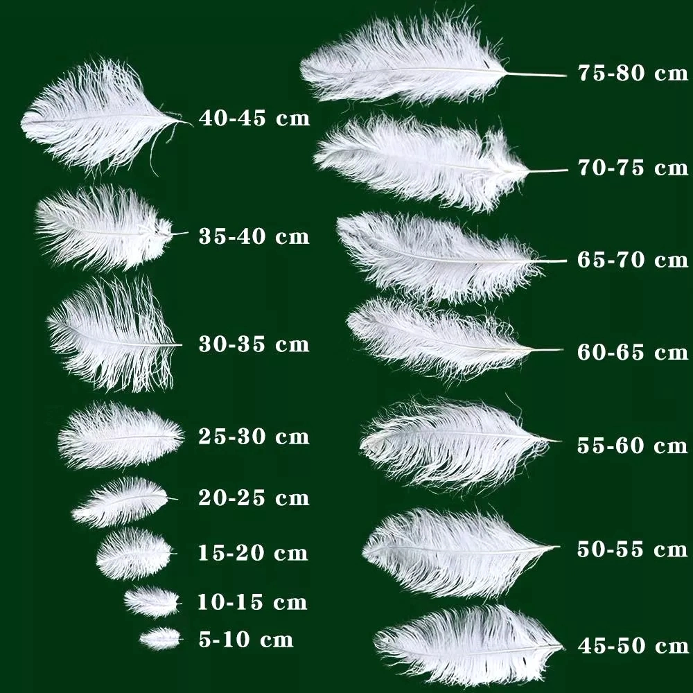 Wholesale Large White Carnival Festival Ostrich Feather 15-80cm Dyed Ostrich Feathers Trims for Wedding Decoration